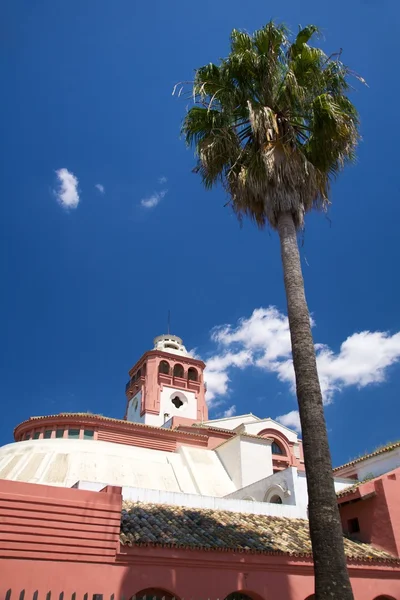 Palm och rosa byggnad — Stockfoto