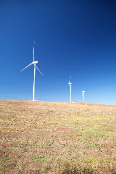 Drie molens van wind energie — Stockfoto