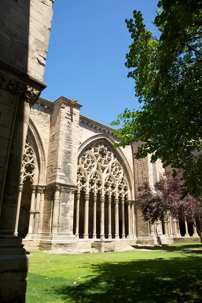Carved columns cloister of Lleida cathedral — Stock Photo, Image