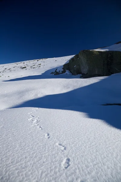 Slitbanor på snö sluttning — Stockfoto