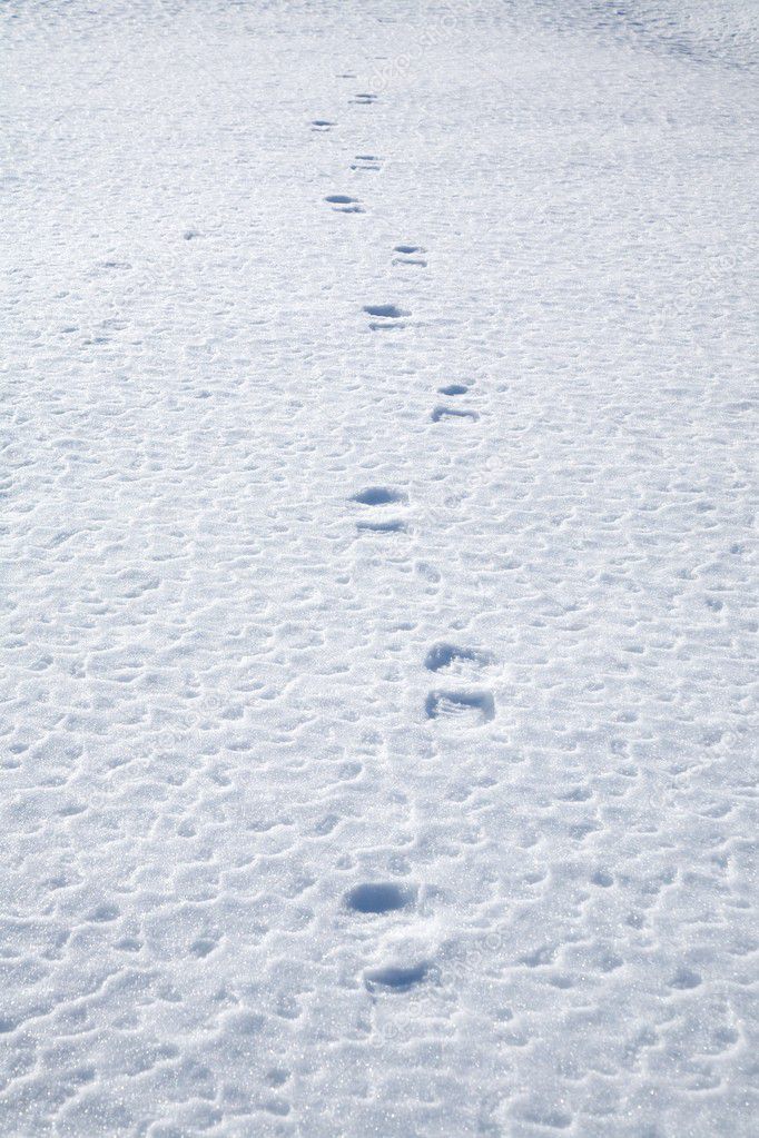 Footsteps on snow