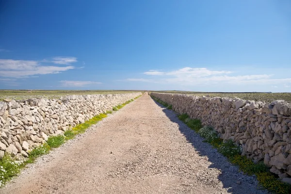 Typical rural road at Menorca — Stock Photo, Image