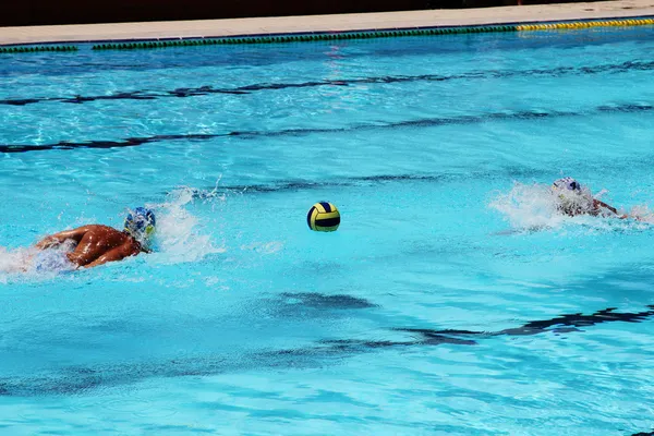 Water polo action and equipment in a swimming pool — Stock Photo, Image