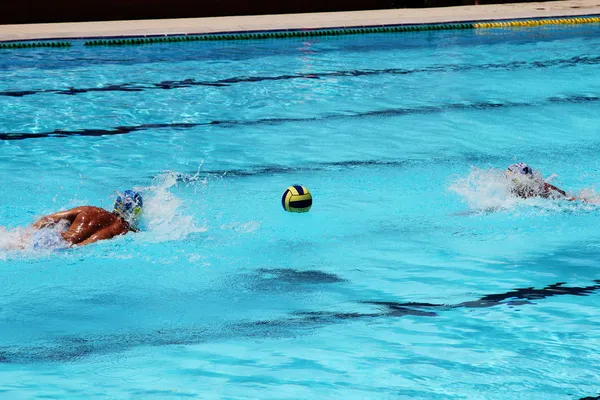 Acción y equipo de waterpolo en una piscina —  Fotos de Stock