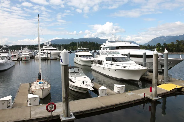 豪华游艇 & 帆船停泊在散步道、 加拿大温哥华不列颠哥伦比亚 — 图库照片