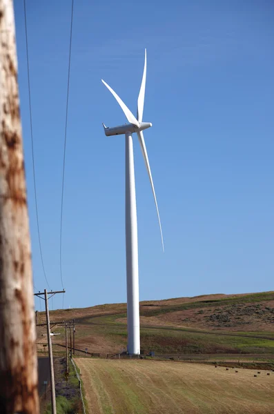 Turbina eólica en un campo, estado de Washington . — Foto de Stock