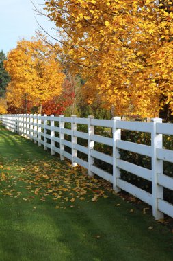 White fences. clipart