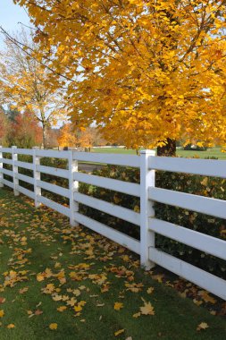 White fences. clipart