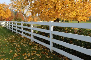 White fences. clipart