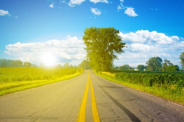 güneş ışığı ile Amerikan yol