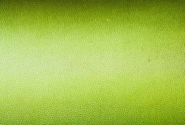 stock image Green leather