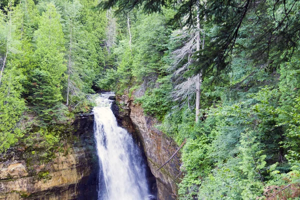 Vodopád v zeleném lese, michigan, usa — Stock fotografie