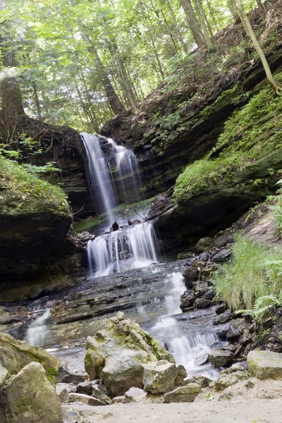 Cachoeira na floresta verde, Michigan EUA — Fotografia de Stock