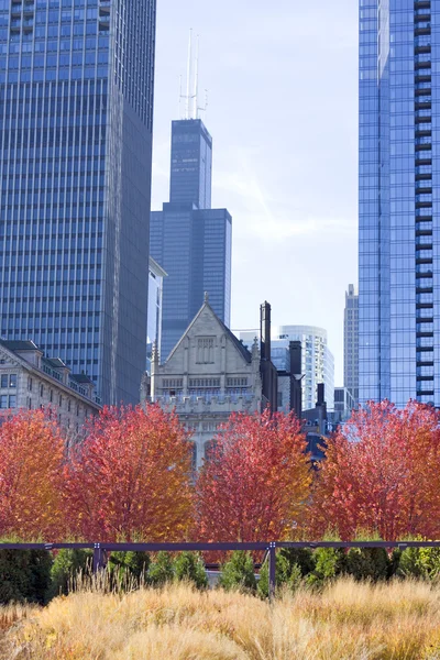 stock image Chicago Park