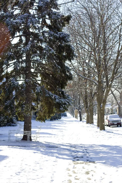 stock image Sidewalk