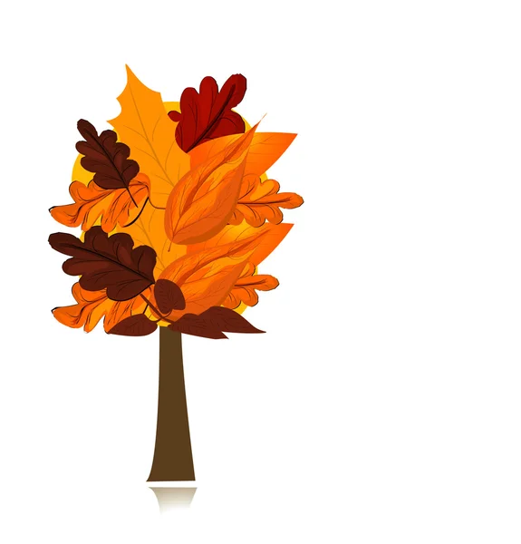 Krásný podzimní strom — Stockový vektor
