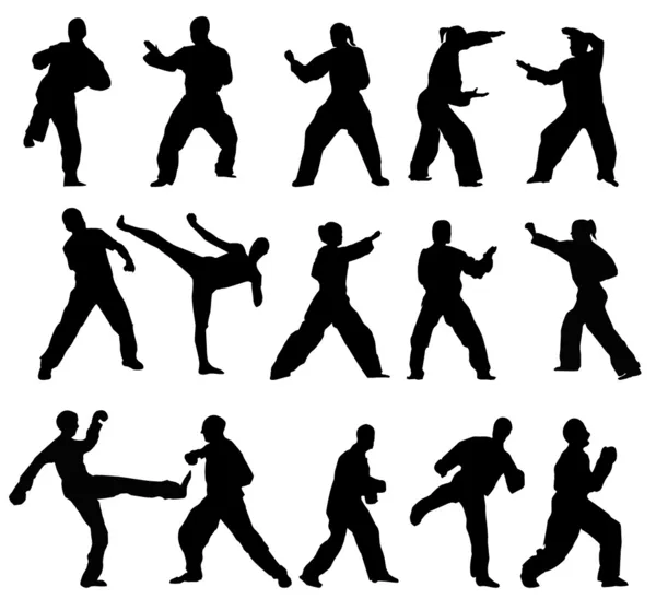Taekwondo-fighter - vecteur — Image vectorielle