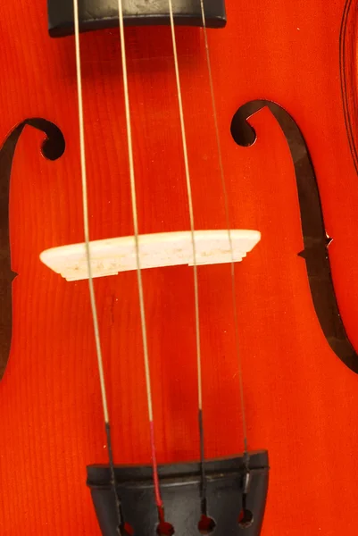 小提琴 005 — 图库照片