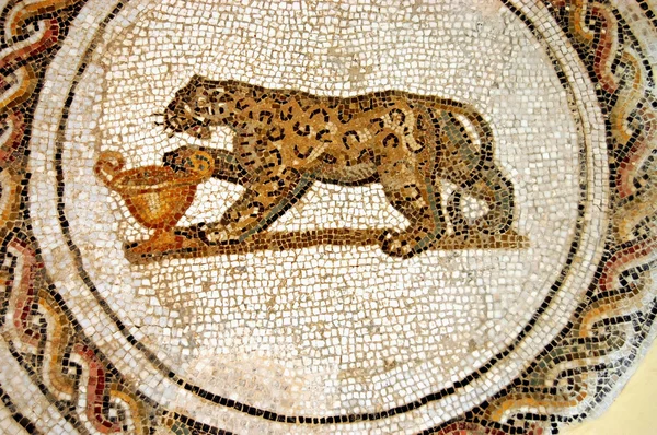 Tygrys mozaika — Zdjęcie stockowe