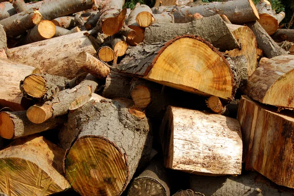 Pila de madera — Foto de Stock
