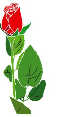 Red rose clipart