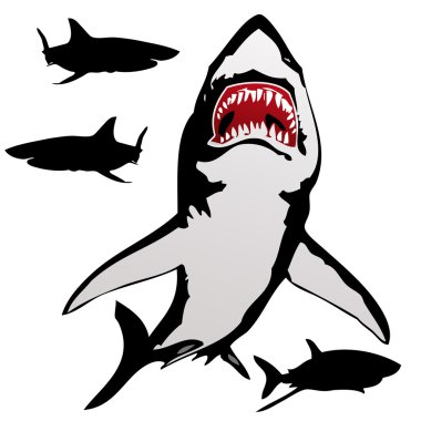 The white shark clipart