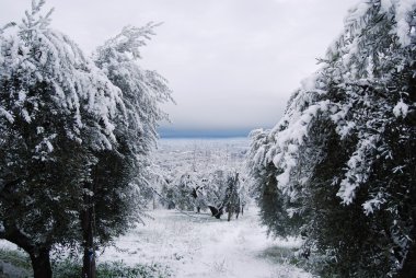 Beyaz kış