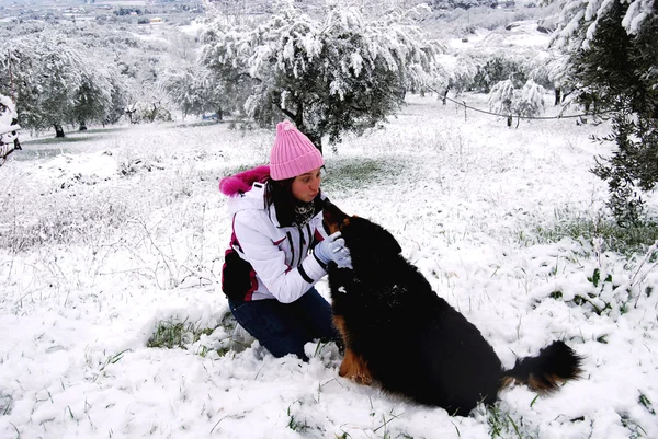 Mein Hund und Schnee — Stockfoto