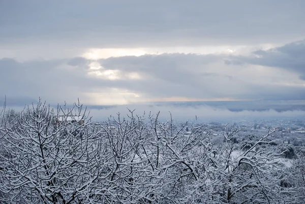 White Winter — Stock Photo, Image