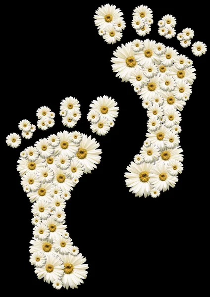 Daisy footprints — Stock Photo, Image