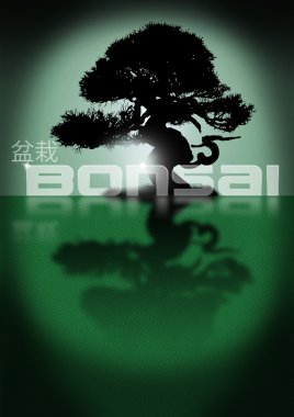 Bonsai