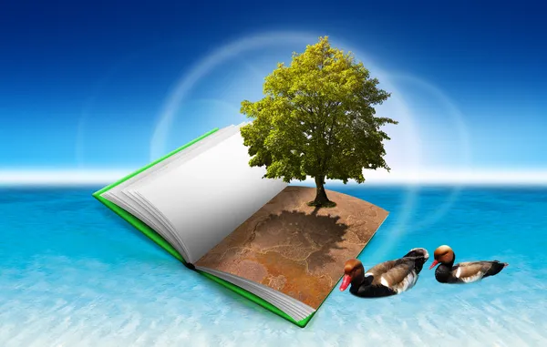 Книга з деревом і качками — стокове фото