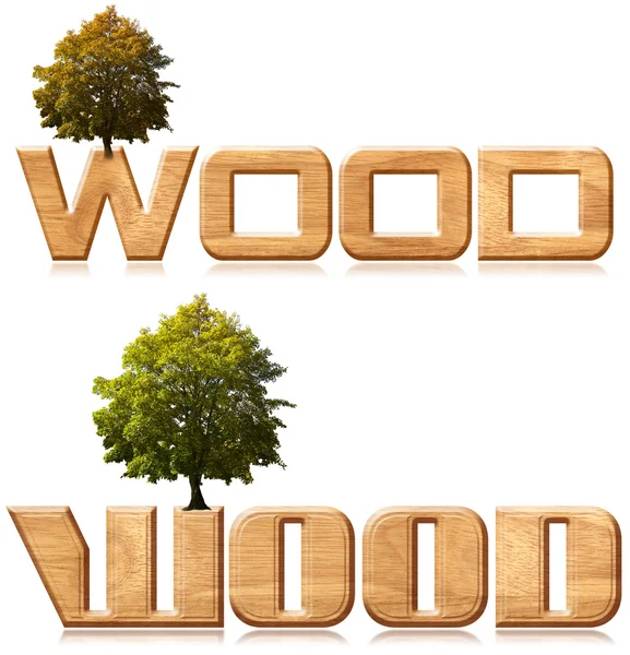 Duas palavras "madeira" em madeira escultura com árvore — Fotografia de Stock