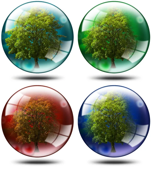 Conjunto - árvores no globo — Fotografia de Stock