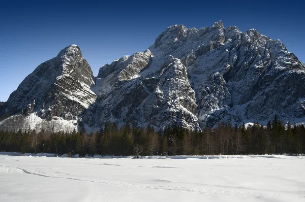 stock image Alps in Italy - Tarvisio - Val Saisera