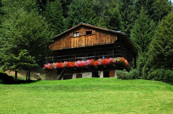 Fjällstuga - Italien Alperna — Stockfoto