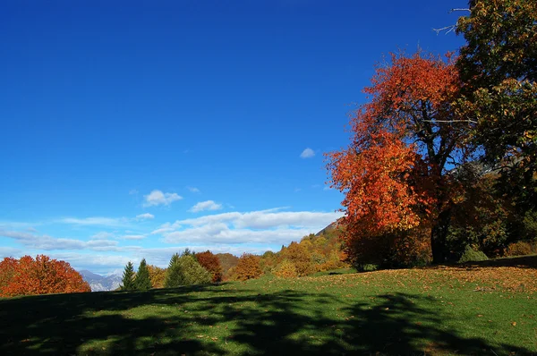Herbstliche Szenen — Stockfoto