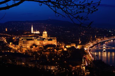 Budapest panorama by nightfall clipart