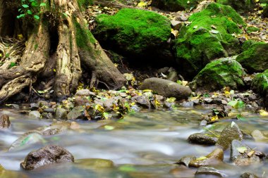 Mountain creek with mossy stones clipart