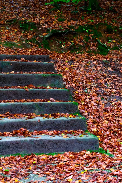 Escadaria de pedra, outono na montanha — Fotografia de Stock