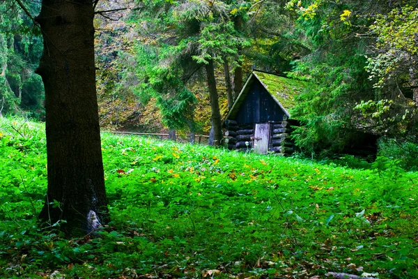 Pequena casa na natureza — Fotografia de Stock