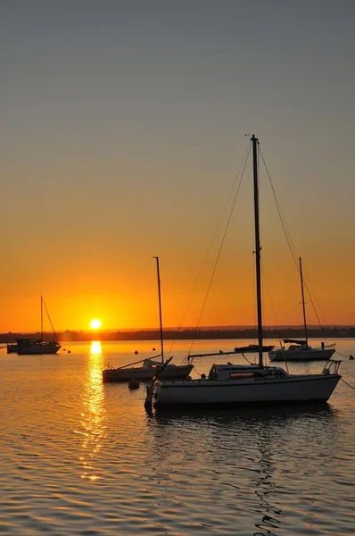 Sunrise over harbor — Stock Photo, Image