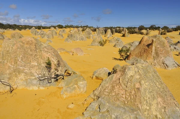 Ausztrália pinnacles desert — Stock Fotó