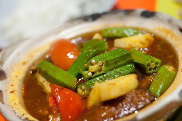 Primo piano di asiatico cibo — Foto Stock