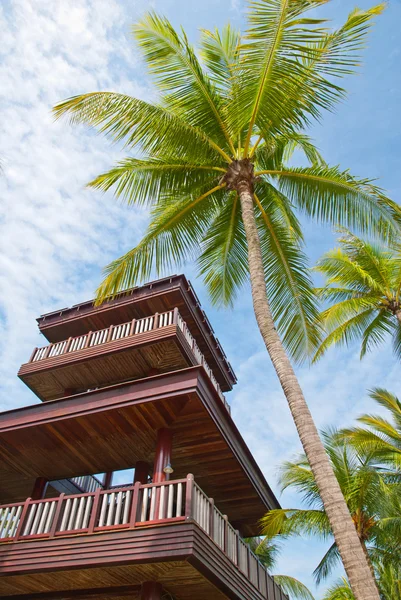 Coconut tree with watch tower — Stock Photo, Image