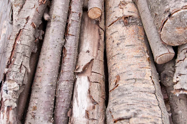 stock image Stack of dried wood logs