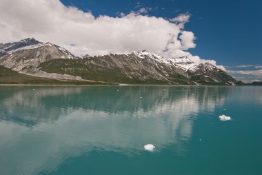 Beautiful Glacier Bay National Park clipart