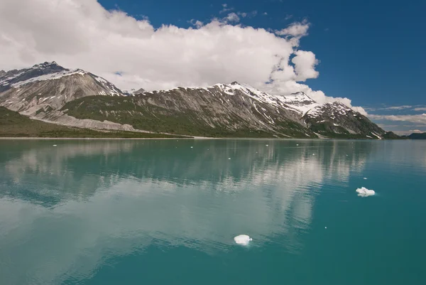 Gyönyörű glacier bay nemzeti park — Stock Fotó