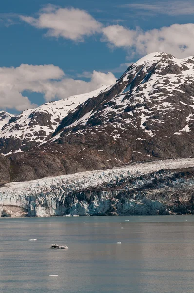 Glaciar Lamplugh — Foto de Stock