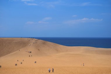 Desert dunes overlooking sea clipart